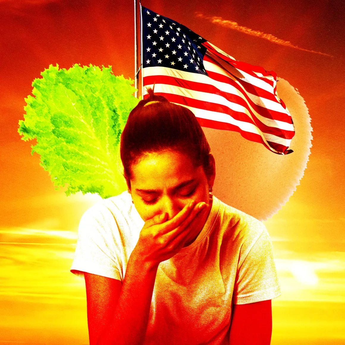 Why Food Keeps Making Everybody Sick This Summer